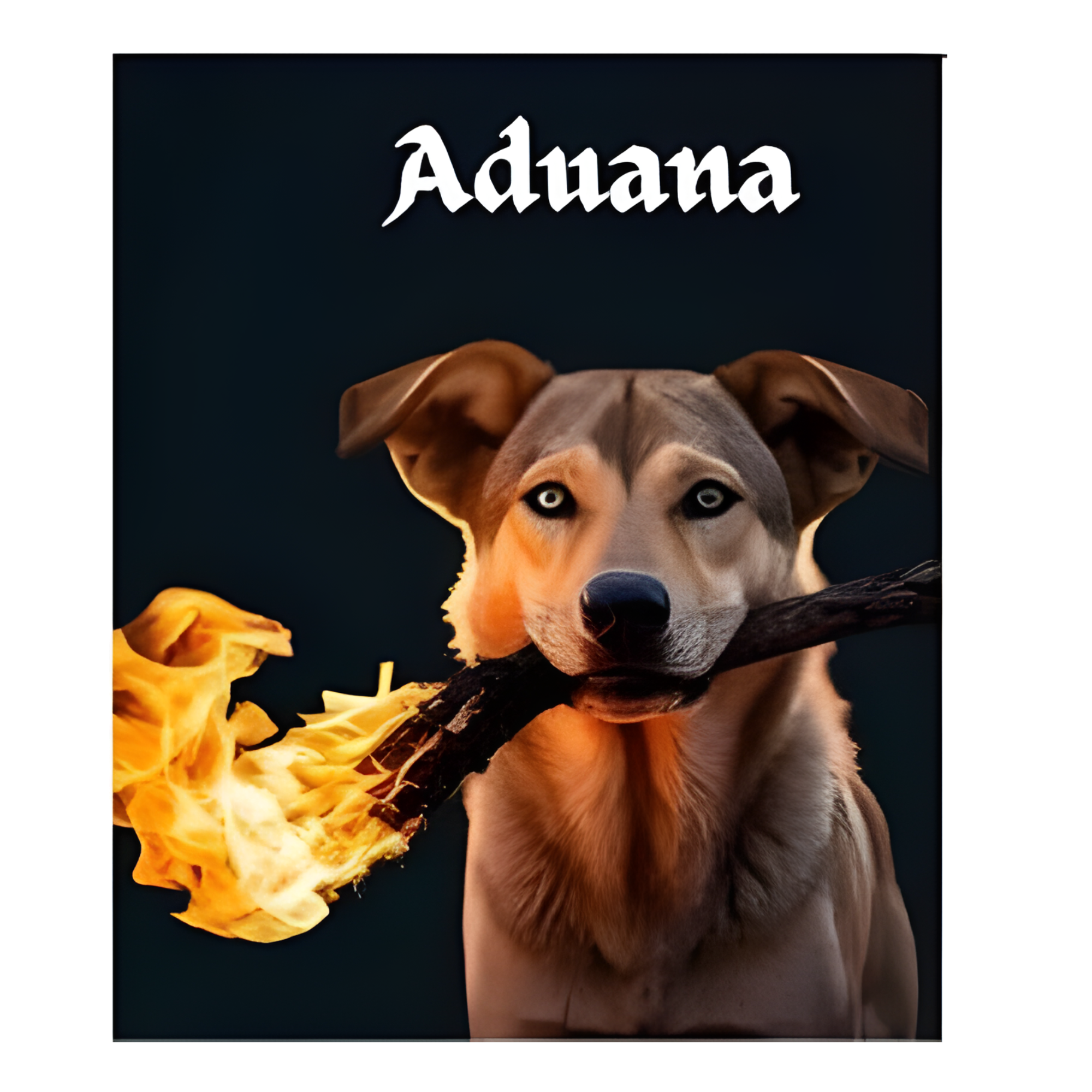 ADUANA