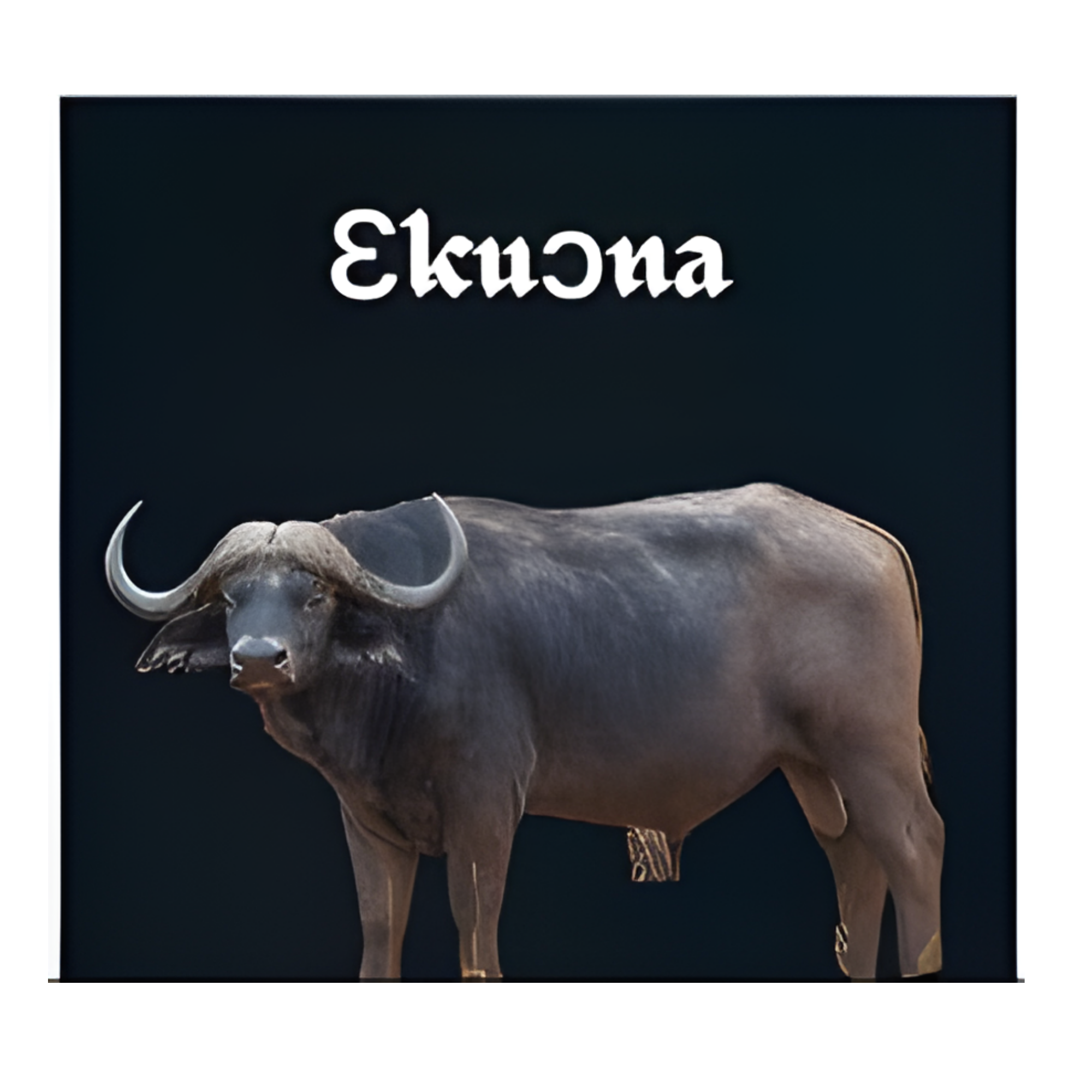 EKUONA